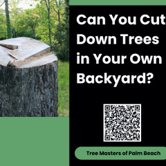 Can You Cut Down Trees in Your Own Backyard?
