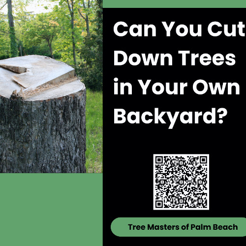 Can You Cut Down Trees in Your Own Backyard?