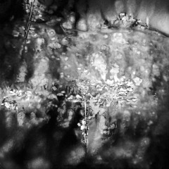 Reaching Out ft. Chapelier Fou (Ocoeur Rework)