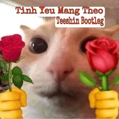 TINH YEU MANG THEO (NHAT TINH ANH) - TEESHIN BOOTLEG (Extended Mix)
