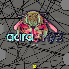 2022 aardonyx releases