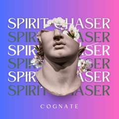 Spirit Chaser (Original Mix)
