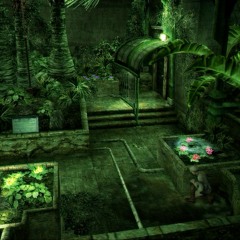 Mandragora Garden