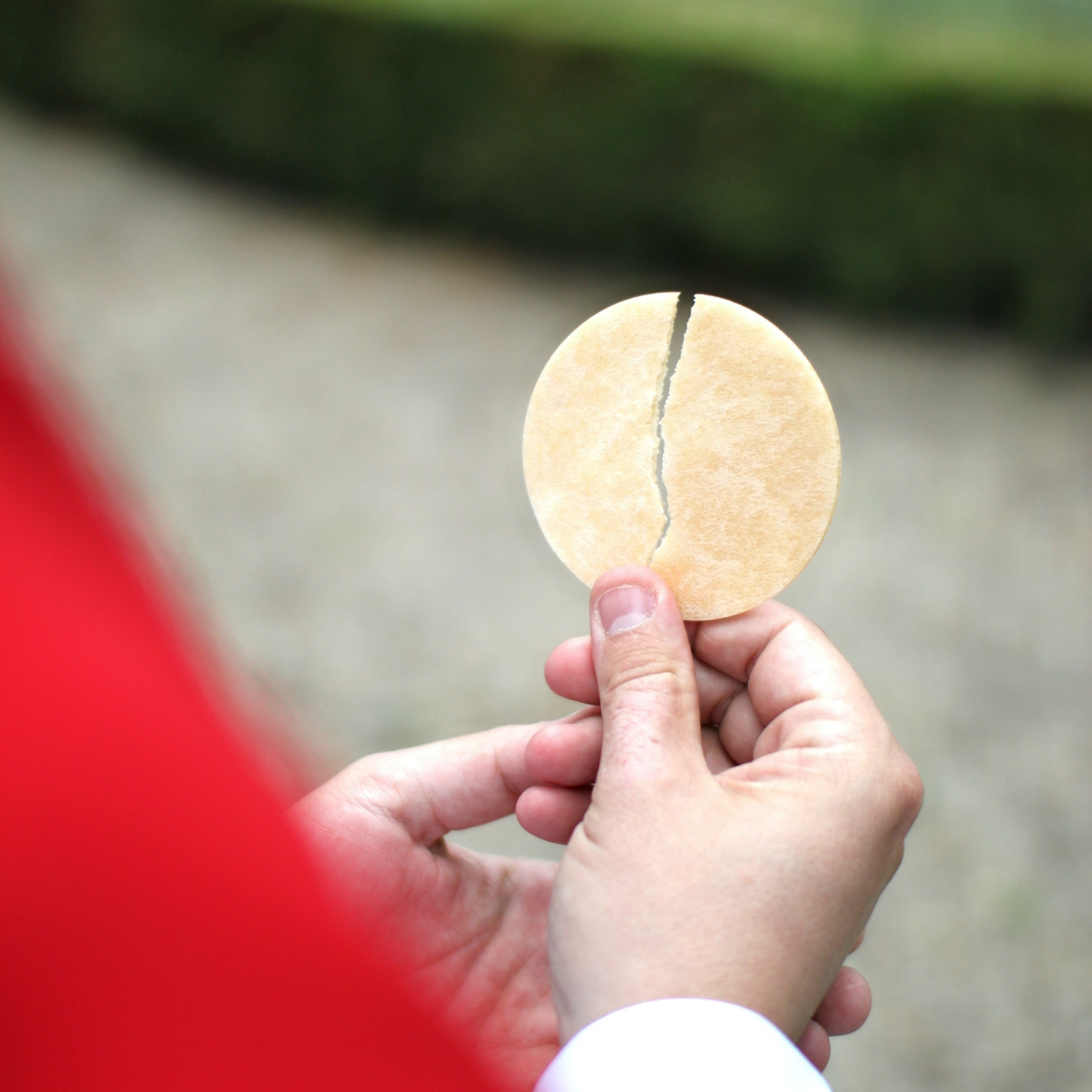 Homily 6-18-23: PRIESTHOOD (11th Sunday in Ordinary Time) episode artwork