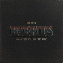 Megan Thee Stallion x Des Rocs - Sex Talk (HYBRID)