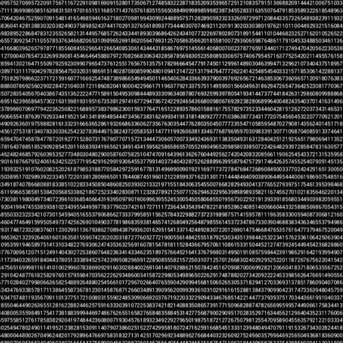COMPUTER SIMULATION