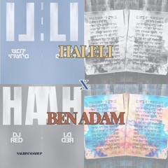 DJ RED VS ODEYA - HALELI X BEN ADAM (NaGrim Mashup)