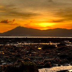 Dont Take the Weight