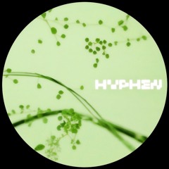 SYN Premiere: vauna - Explorations [HYPH001]