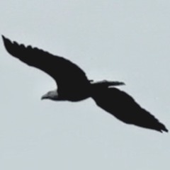 It’s a head sweater, a sweater for your head