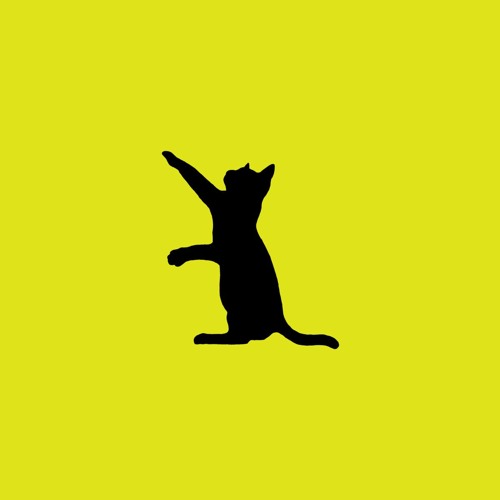 Killerkat - She's A Kitten (ft. Shamoozey)