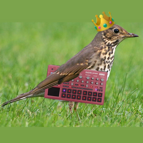 König Drosselkorg (One Pattern)