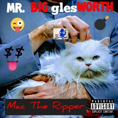 St. Paddys Day Special