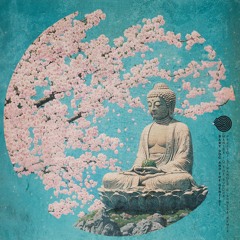 Baby Doc & The Dentist - Mantra To The Buddha (Perfect Stranger & Sphera Remix)