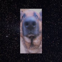 Hans
