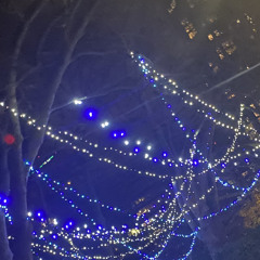 Itsjustthewaythingsturnedout {p. SORRYIHADTO}