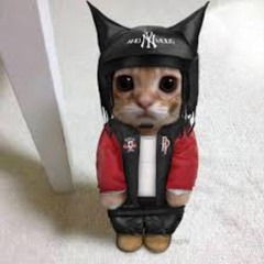 meow carti