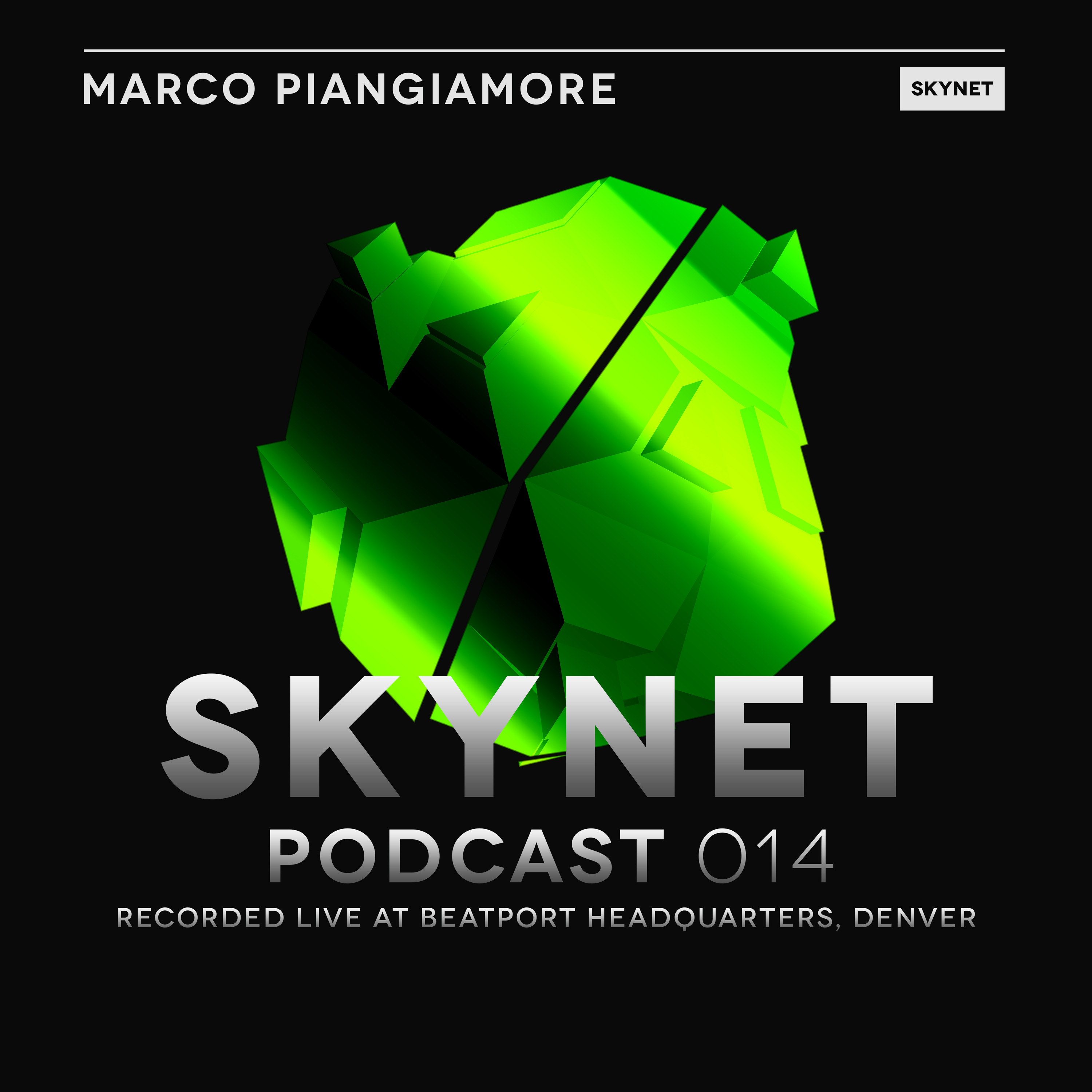 Skynet Podcast