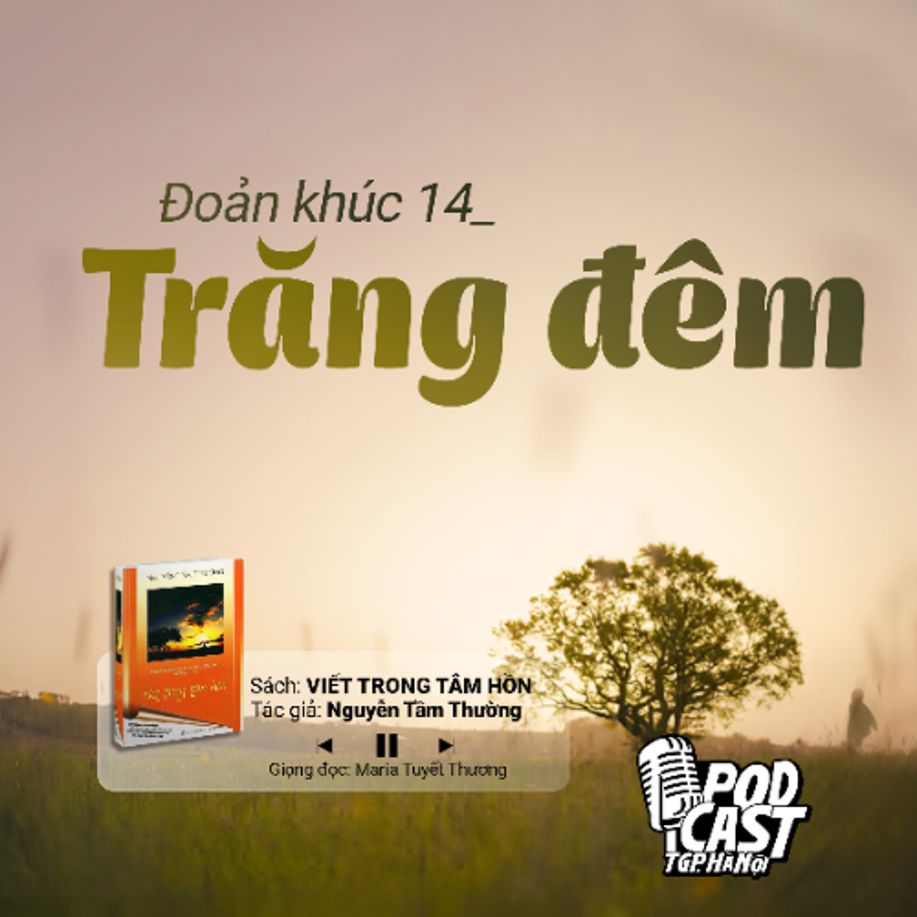 ĐK14: Trăng đêm (Tg. Nguyễn Tầm Thường) || Viết trong tâm hồn