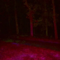 Scarlet Forest