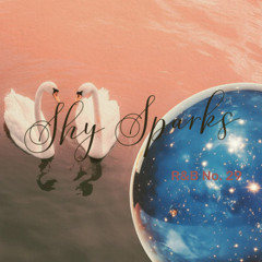 R&B No. 29 - Shy Sparks