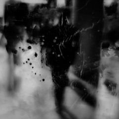 beckhäuser - meditation