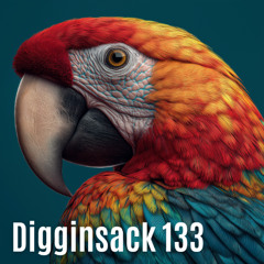Digginsack 133