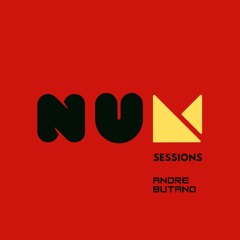 NUM sessions (Andre Butano)