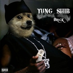 Brick - Yung Shib