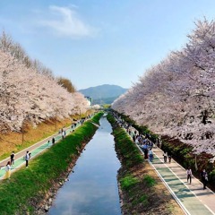 봄, 봄, 봄 (Prod.Grabby)