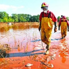 Brizla - Quarantined LSVision