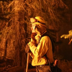 Learning To Live With Wildfire