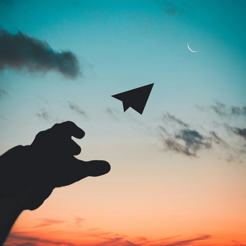 FlyHighMix- tyNo (Vinyl)