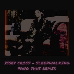 Issey Cross - Sleepwalking (Fang Shui Remix)