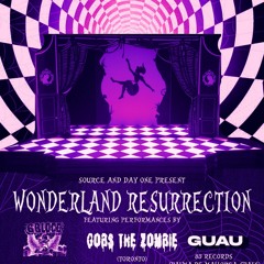 d1rt m@ll Live at Wonderland Resurrection - Chicago