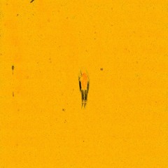 CUANDO APRENDAS A VOLAR ME LLEVARAS CONTIGO? - TELECUM