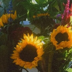 Right Back To It ( Waxahatchee cover)