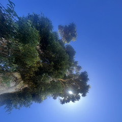 10thingsihateaboutyou bones remix