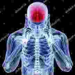 principle (abysmal)#nachtreich