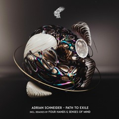 Adrian Schneider - Insignificance (Senses Of Mind Remix)