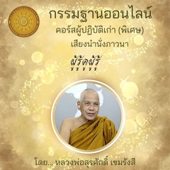 ผู้รู้ดูผู้รู้ (ลม-สักแต่ว่า-อิทัปปัจจยตา) 094