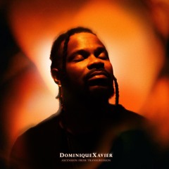 DominiqueXavier - Calmly Waiting
