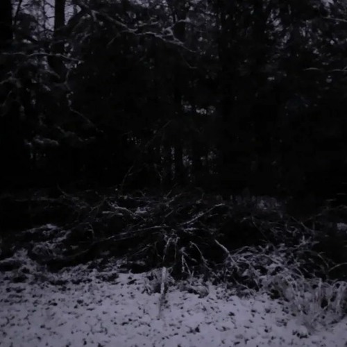 i might just break (prod. DXLOR)