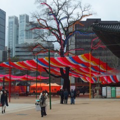 Absconded With the Bag, Febuary 2026