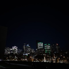 🕷️🕷️🕷️