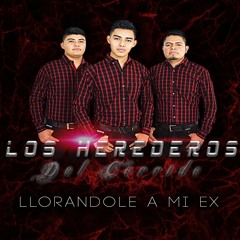 Llorándole a mi ex