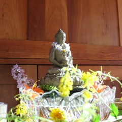 Better to Die than Live Defeated - Soryu Forall (Part 1 of 3)