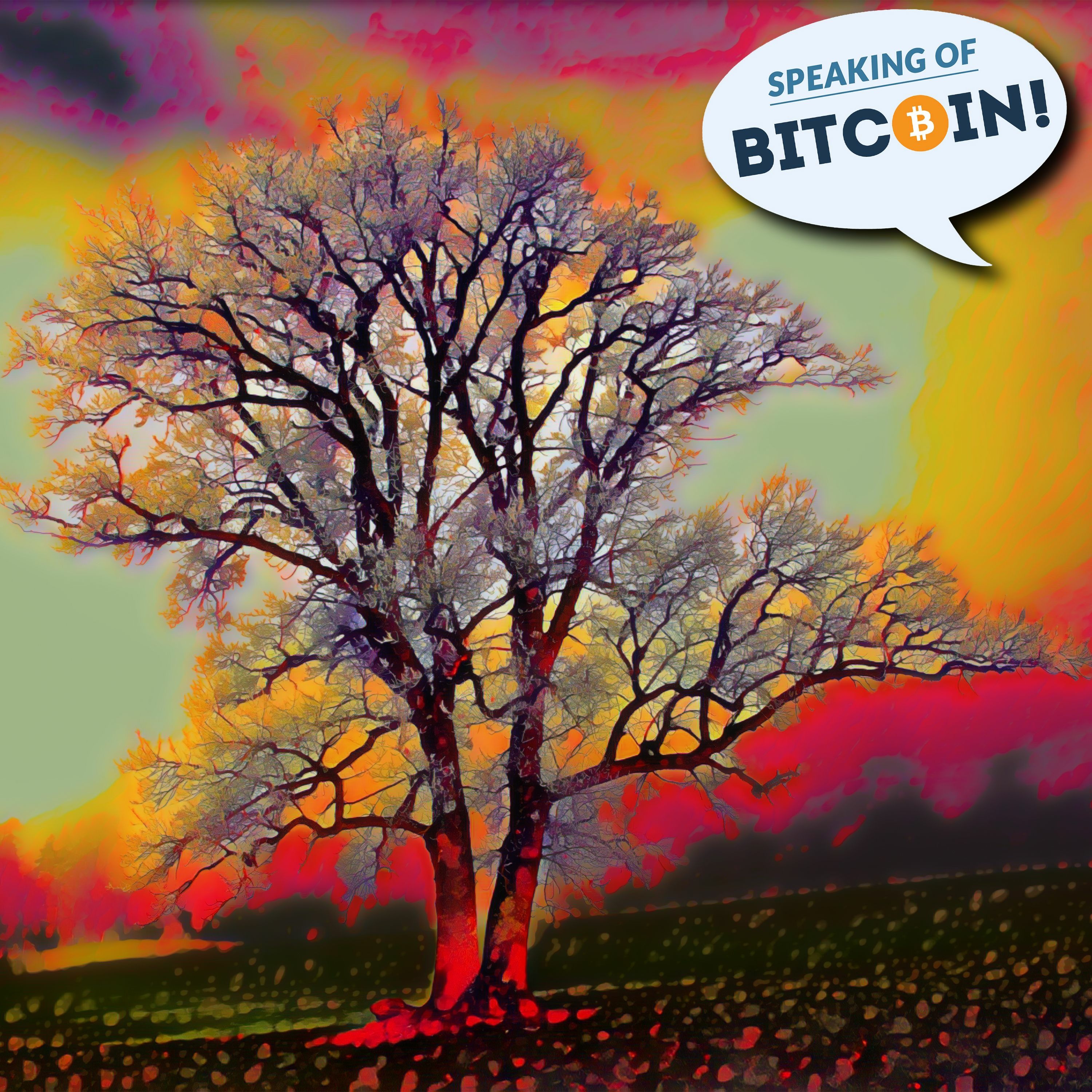 SOB #455 Privacy & Scale - Everything You Need To Know About Bitcoin’s Taproot