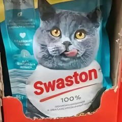 выключатель гей ремикс