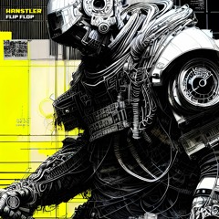Hanstler - Flip Flop (Original Mix) 160Kbps